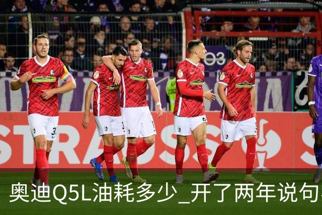 奥迪Q5L油耗多少 开了两年说句实话 家用到底香不香