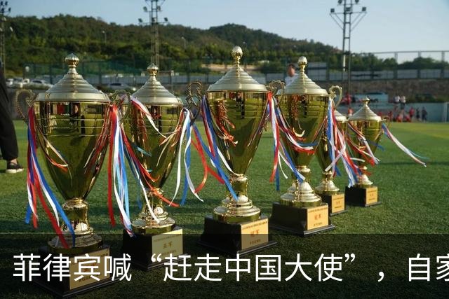 菲律宾喊“赶走中国大使”，自家人先拍桌子：等于把全国推下悬崖